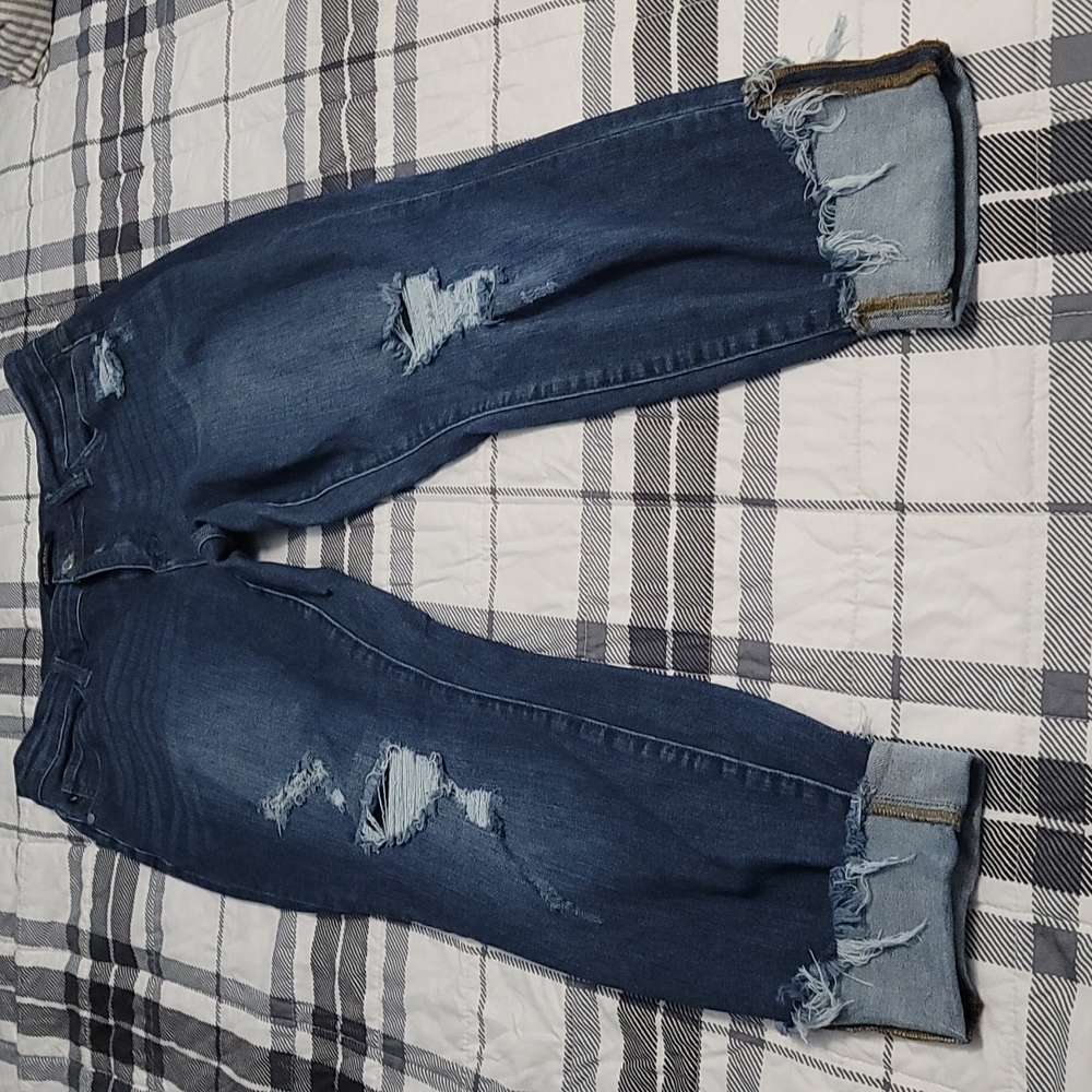 Plus Size 16W  Judy Blue Jeans Skinny Fit